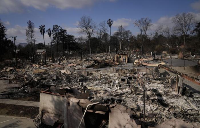 Los Angeles | Zehn Tage nach Ausbruch der Brände geht die Suche nach Opfern weiter