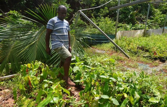 Im vom Zyklon verwüsteten Mayotte „haben die Bauern alles verloren“