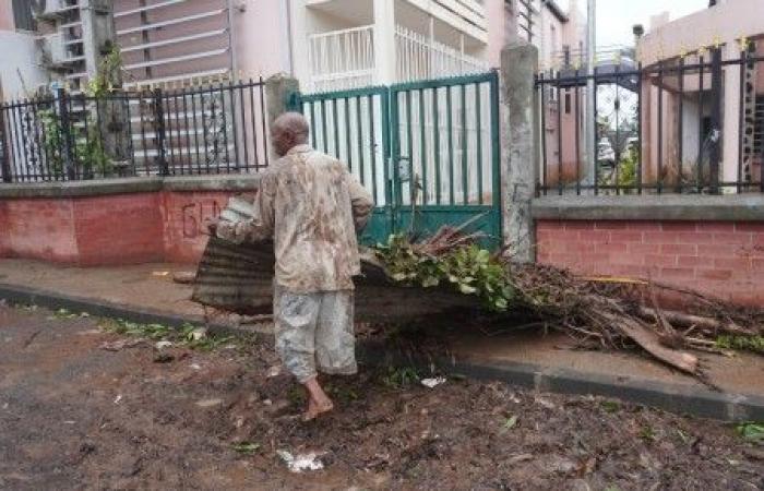 Im vom Zyklon verwüsteten Mayotte „haben die Bauern alles verloren“