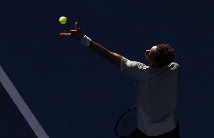 Die Vielfalt der Leistungen ist der größte Trumpf von Gaël Monfils bei den Australian Open