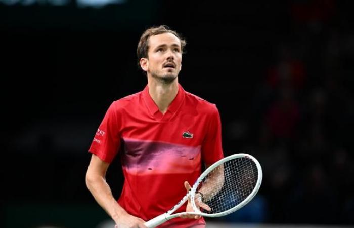 Daniil Medvedev wurde wegen seiner Wutausbrüche bei den Australian Open mit einer Geldstrafe von 76.000 US-Dollar belegt