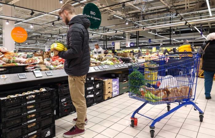 Stimmt es, dass „es nicht mehr kostet, sich gut zu ernähren“?