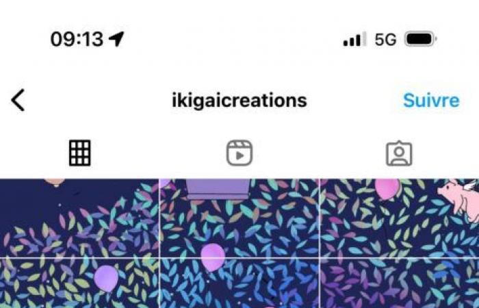 Dieses neue Detail auf Instagram verändert alles