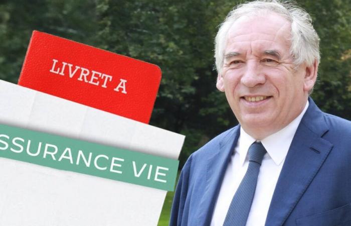 François Bayrou ist bereit, das französische Geld anzugreifen