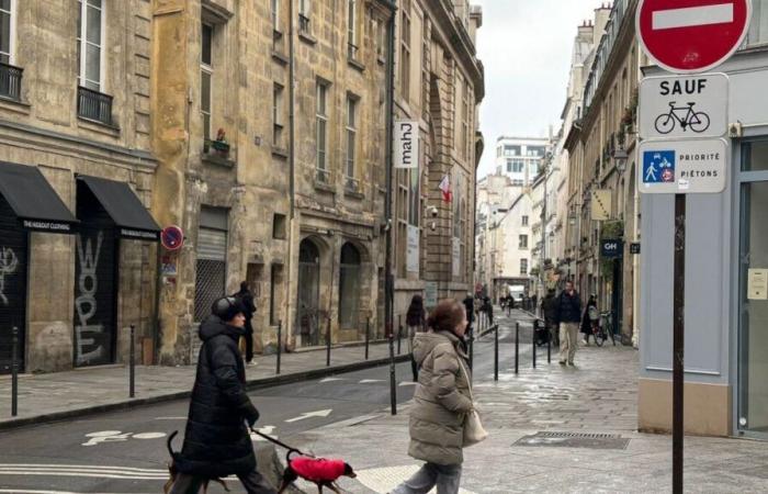 Im Marais hat sich der Verkehr in bestimmten Straßen seit dem neuen Verkehrsplan innerhalb eines Jahres halbiert