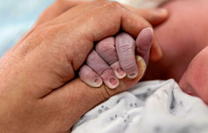 „Ohne politische Entscheidung droht Frankreich ein wirtschaftlicher Niedergang“