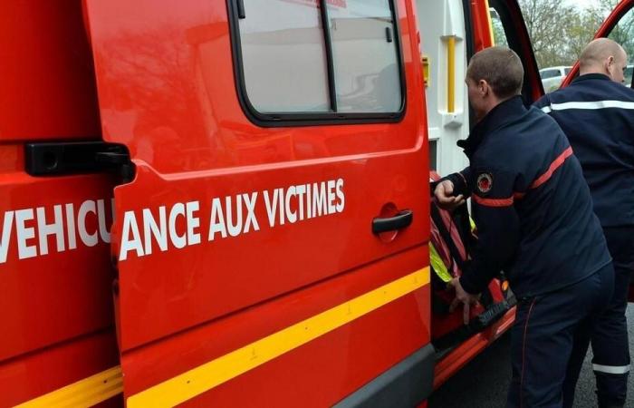 Ein Baum fällt auf ihn, ein Sechzigjähriger stirbt in Loire-Atlantique