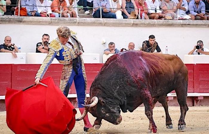 Daniel Luque vs. Landais Clemente rechts