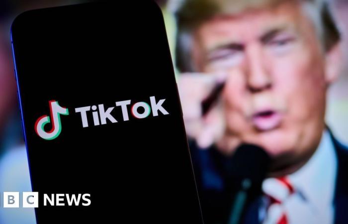 Nach Trumps Versprechen stellt TikTok seine Dienste in den USA wieder her