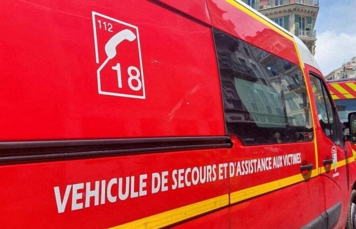 Eine junge Frau in absoluter Notlage nach einem Verkehrsunfall in der Vendée