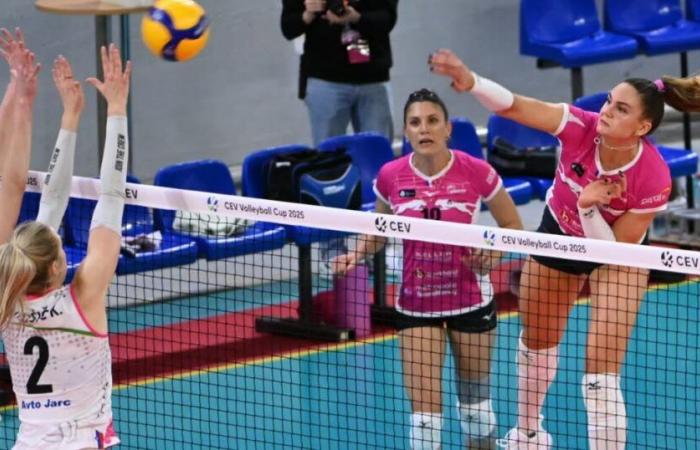 Ball – Liga A (F). Ende der Serie für den VNVB, der in Levallois-Paris klar geschlagen wurde