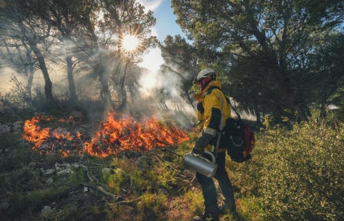 In Aude nutzen Feuerwehrleute im Winter Feuer, um Brände im Sommer einzudämmen