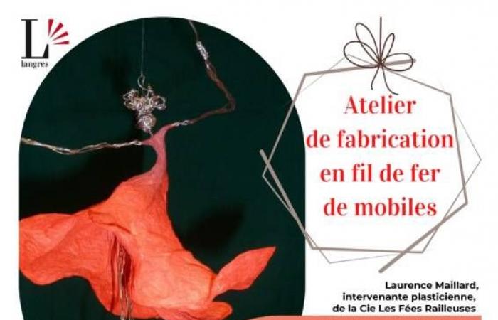 DRAHT-WORKSHOP Langres Mittwoch, 29. Januar 2025