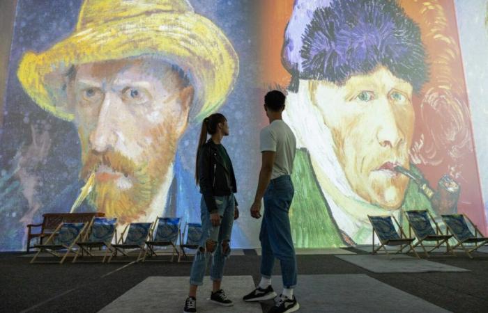 Lyon. Diese mit Spannung erwartete Ausstellung über Van Gogh ist endlich da: Was Sie wissen müssen