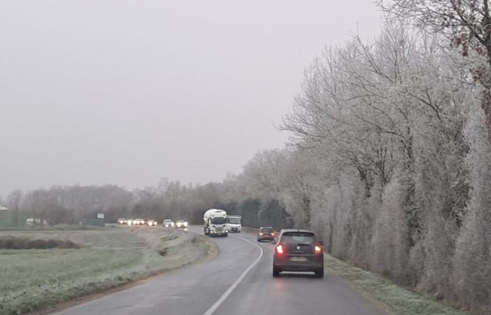 Wachsamkeit gelbes Schneeeis an diesem Samstag, 18. Januar 2025, abends