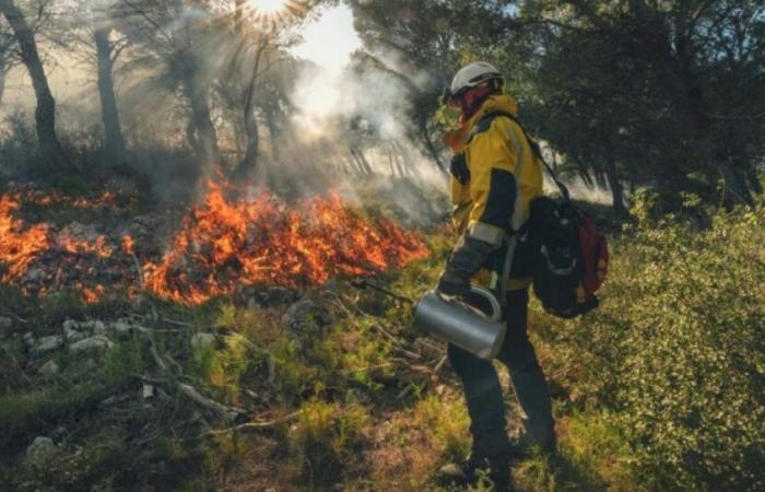 In Aude nutzen Feuerwehrleute im Winter Feuer, um Brände im Sommer einzudämmen: Nachrichten