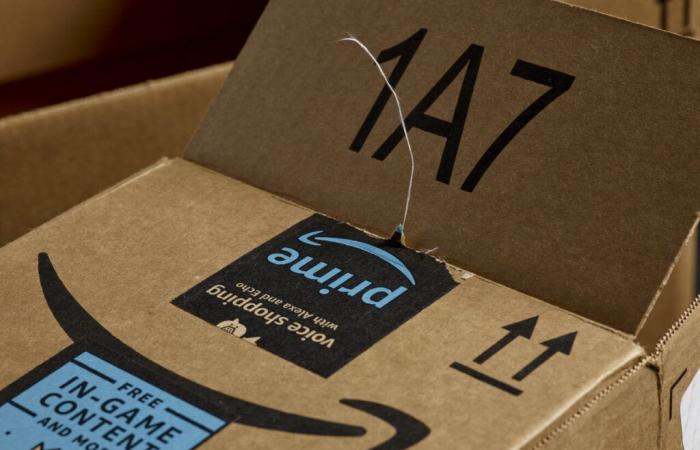 Im Norden wird an diesem Samstag ein großer Verkauf verlorener Amazon-Pakete organisiert