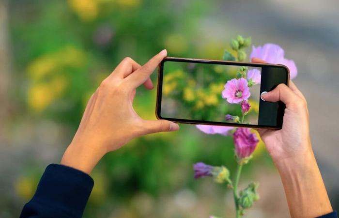 Es ist keine Illusion, Smartphone-Fotos werden mit der Zeit schlechter