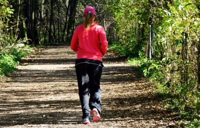 Der Angeklagte war am Vortag aus der Psychiatrie entlassen worden