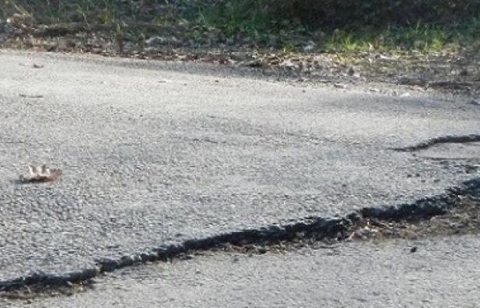 Ein Erdbeben geringer Stärke wurde in Charente-Maritime registriert – Angers Info