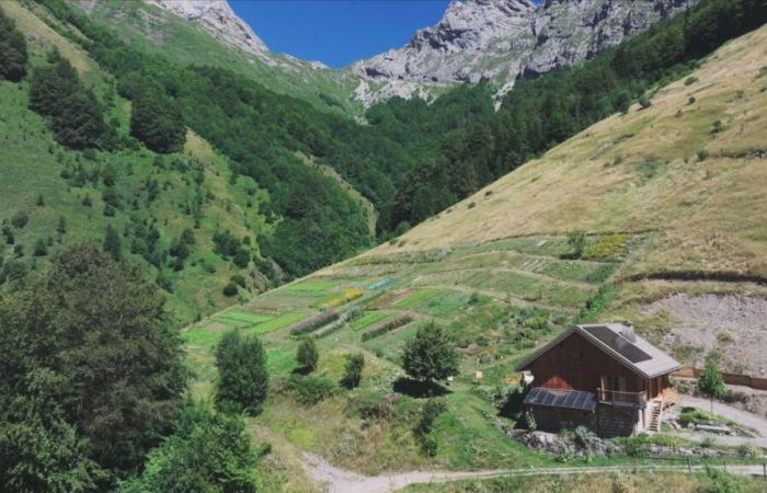 Clarins wird für seine regenerative landwirtschaftliche Tätigkeit ausgezeichnet