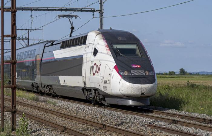 TGV Inoui testet die France Identity-Anwendung auf ihre Kontrollen