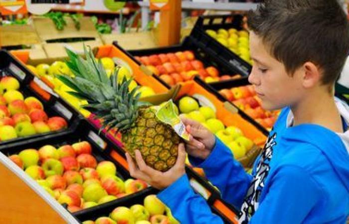 Richtig oder falsch. Gibt es in Frankreich wieder Skorbut unter jungen Menschen?