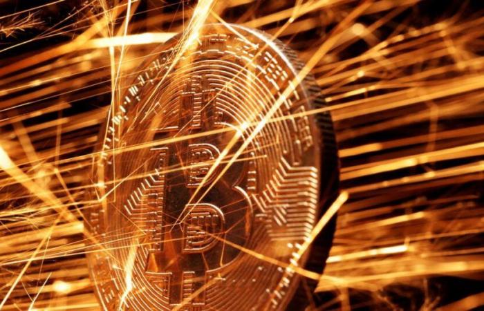 Bitcoin erreicht vor Donald Trumps Amtseinführung mit über 109.000 US-Dollar einen neuen Rekord