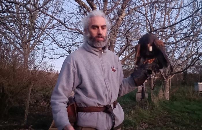 VIDEO. Afrikanischer Bartkauz, Amerikanischer Bussard, Waldadler … Dieser Falkner hat etwa zehn Greifvögel in seinem Garten und geht mit ihnen auf die Jagd