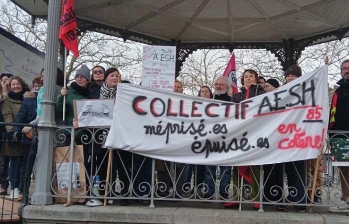 In der Vendée beklagen pädagogische Assistenten und studentische Begleitpersonen unzureichende Ressourcen