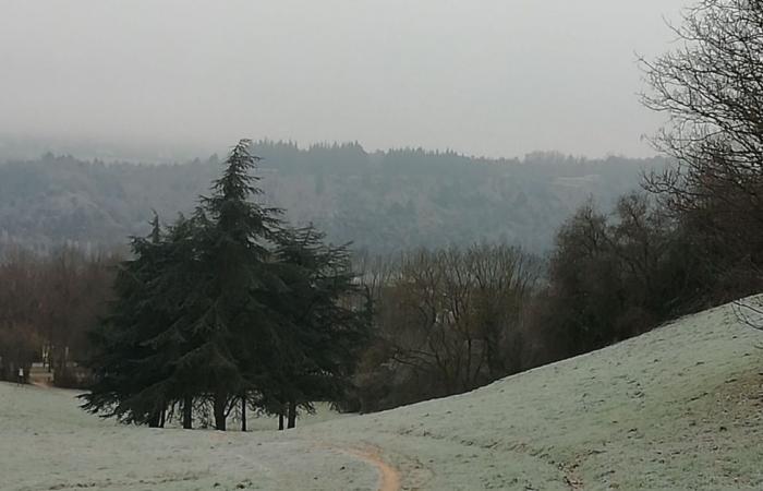 anhaltende Erkältung an diesem Montag in Côte-d’Or