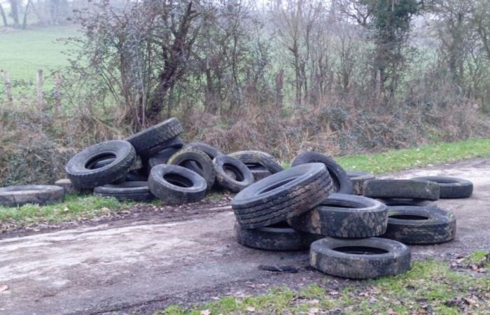 Die gewählten Beamten dieser Dörfer Orne und Sarthe waren wütend