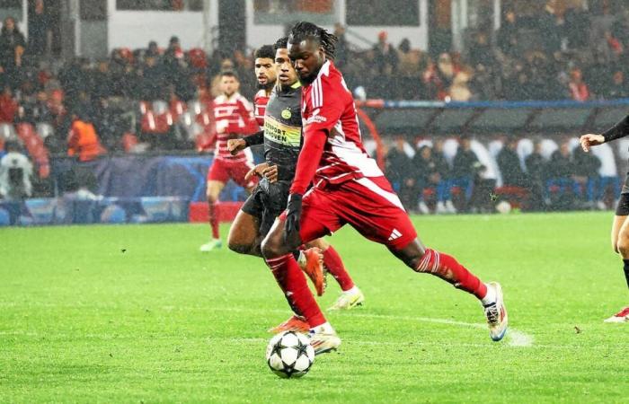 Kann sich Stade Brestois an diesem Dienstagabend offiziell für die Champions-League-Play-offs qualifizieren?