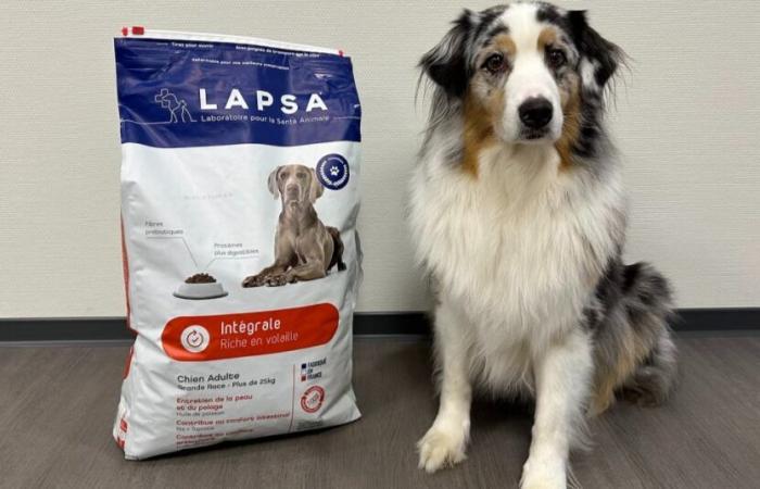 Unser Hund Oria hat die Trockenfutter aus der Integral Large Breed-Reihe getestet