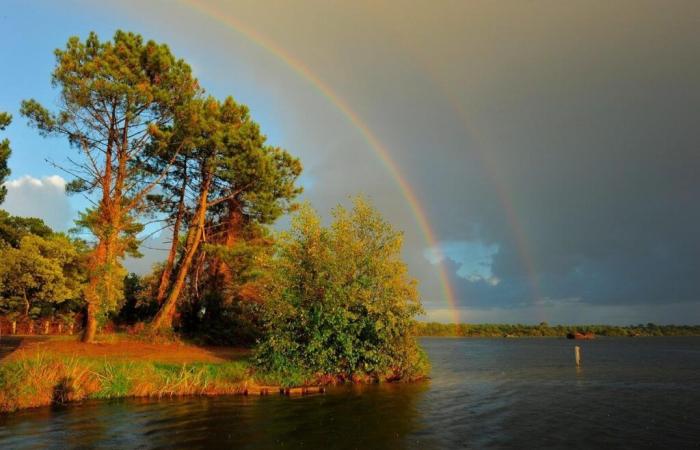 Ein Workshop, um alles über Regenbögen zu lernen