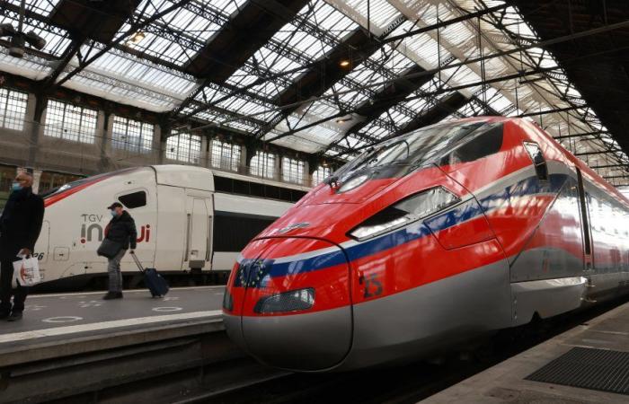 Trenitalia kündigt vier TGV-Rundfahrten pro Tag an, die über Aix und Avignon führen werden