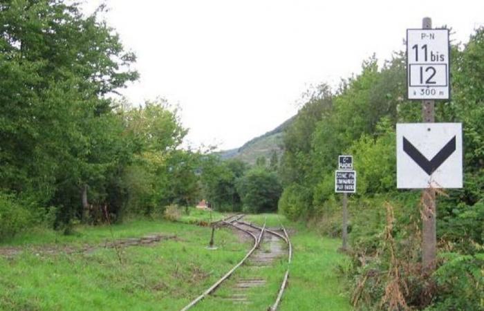 Ein Kollektiv versucht, eine jahrzehntelang geschlossene Bahnstrecke im Haut-Rhin zu sanieren