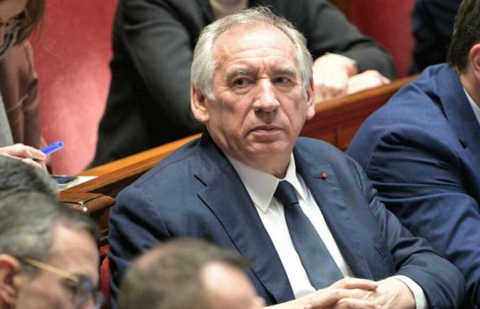 François Bayrou möchte zwei Texte untersuchen, einen zur Palliativpflege und einen zur aktiven Sterbehilfe