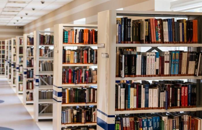 Er bringt anonym ein Buch, das „muffig“ riecht, in die Bibliothek zurück – mit fünfzig Jahren Verspätung