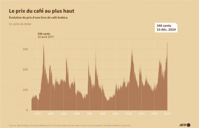 Brasilien: Wenn die Dürre den Kaffeepreis in die Höhe schnellen lässt