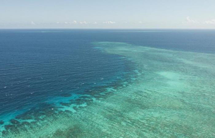 In Mayotte landete Chido ebenfalls auf dem Meeresboden