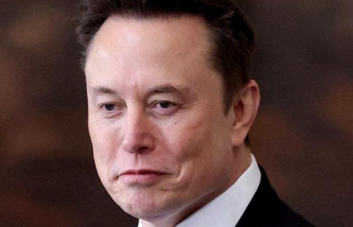 Elon Musks Abteilung „Regierungseffizienz“ wurde vor Gericht angefochten