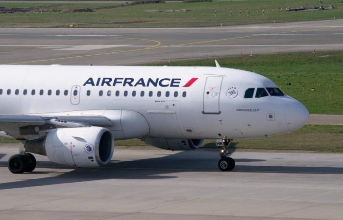 Die Erhöhung der Steuer auf Flugtickets sei für Air France-KLM „unverantwortlich“.