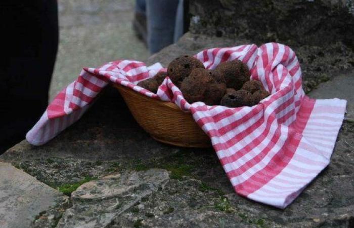 Ein kleiner Trüffelmarkt – Le Petit Journal