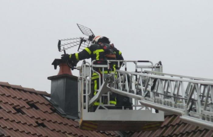 Eine Mutter und ihr Kind wurden ins Krankenhaus gebracht