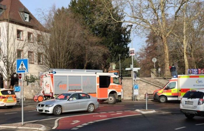 Zwei Tote bei Messerangriff in einem Park – Polizei nimmt Verdächtigen fest