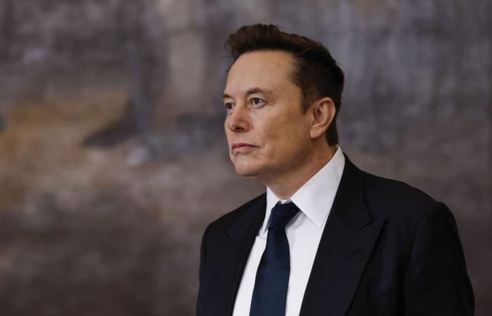 Elon Musk kritisiert Stargate, das von Donald Trump vorgestellte KI-Investitionsprojekt