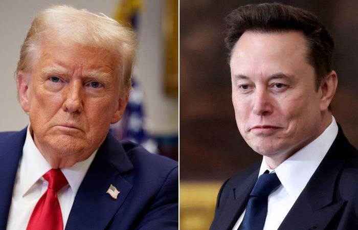 Elon Musk kritisiert das von Trump angekündigte 500-Milliarden-Dollar-KI-Projekt und behauptet, seine Unterstützer hätten nicht „das Geld“