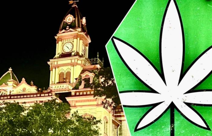 Cannabis-Befürworter stoßen mit dem Stadtrat von Lockhart zusammen und planen Pizza-Protest wegen Marihuana-Verordnung