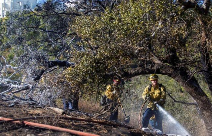 28 Tote bei Bränden in Kalifornien, dieses Wochenende wird Regen erwartet